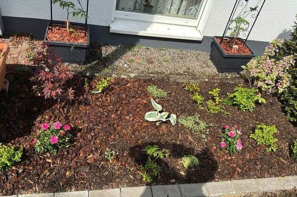 Gepflegtes Blumenbeet nach Gartenpflege in Essen